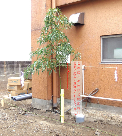笹竹の立て方の例