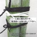 真竹『門松用』青竹3本組1対