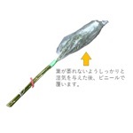 地鎮祭用の笹竹(天然竹)